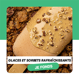 glace et sorbets rafraichissants