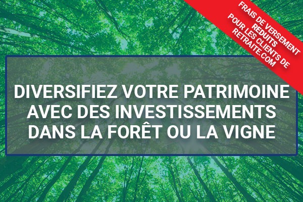 Diversifiez votre patrimoine avec des investissements dans la forêt ou la vigne